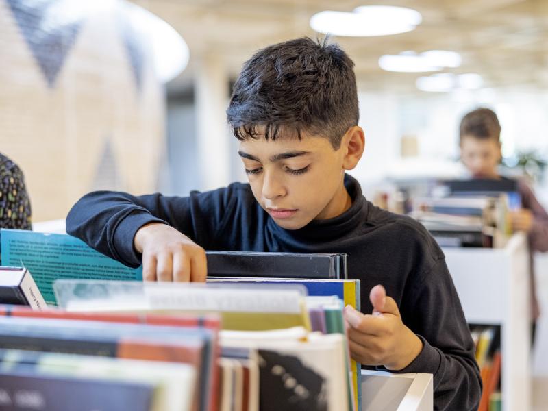 Dreng bladrer i bøger.