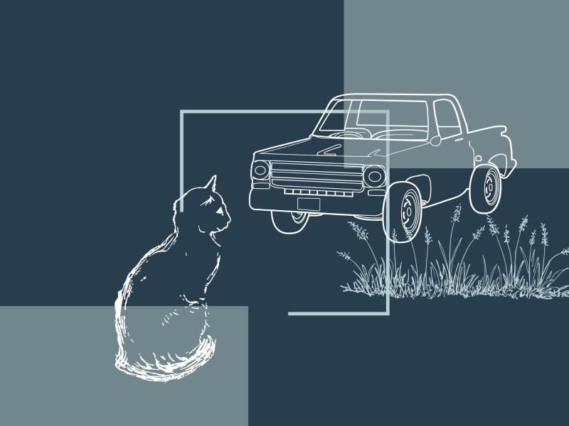 stregtegning af en kat og en bil